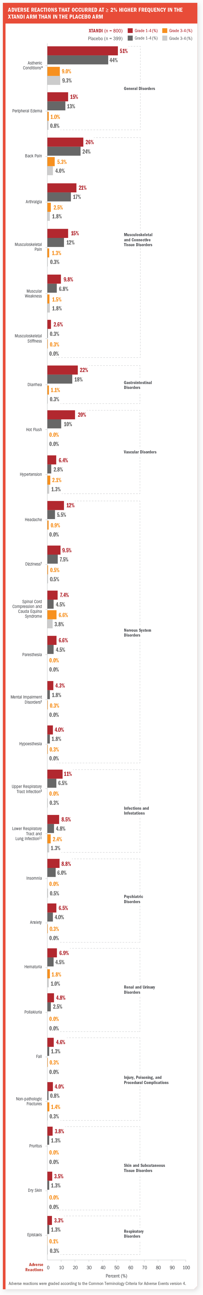 Preclinical studies image